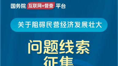 午夜剧场拨插拨插国务院“互联网+督查”平台公开征集阻碍民营经济发展壮大问题线索